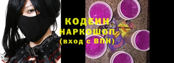 СК Краснослободск