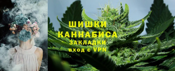 СК Краснослободск