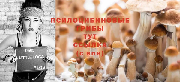 МДПВ Краснотурьинск